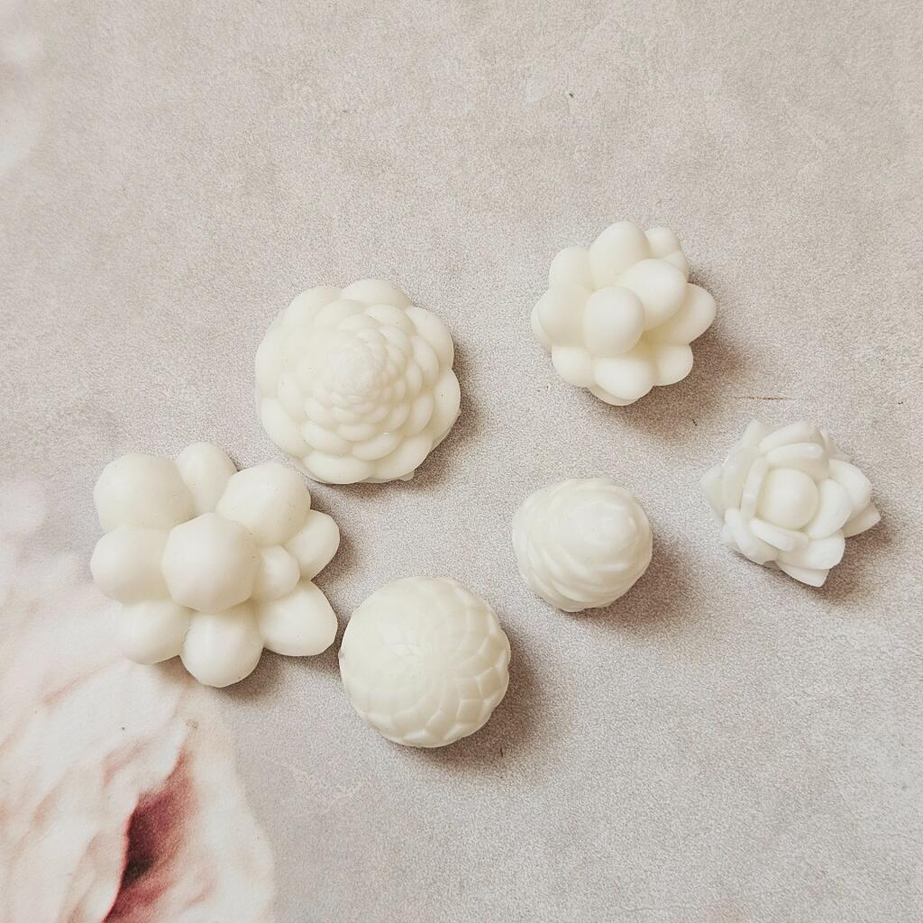 Силиконовая форма Палетка Суккуленты мини