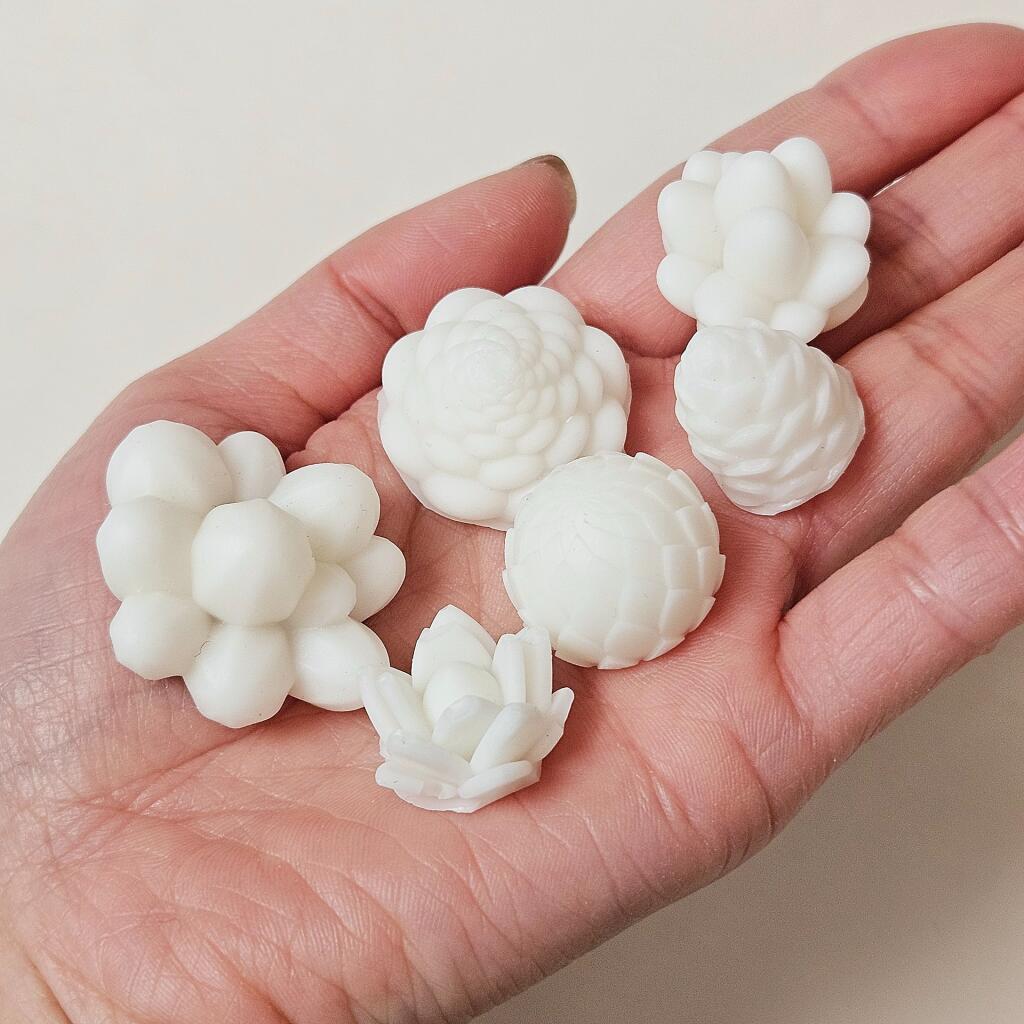 Силиконовая форма Палетка Суккуленты мини