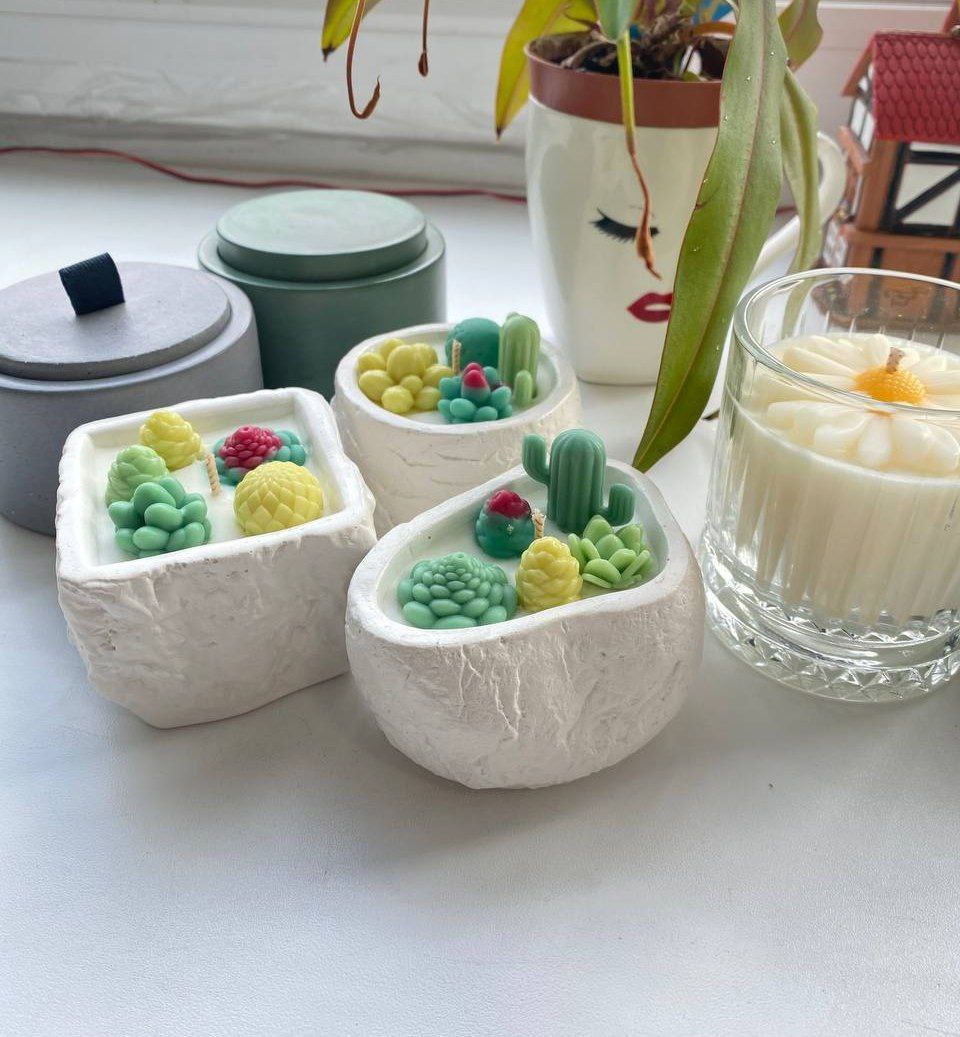 Спасибо за #ваши_отзывы Суккуленты